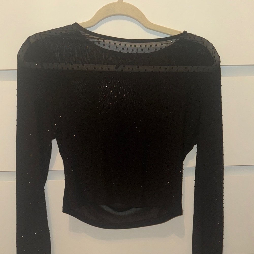 Windsor Black Sparkle Sheer Top